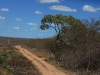 Estrada para GilbuÃ©/PI